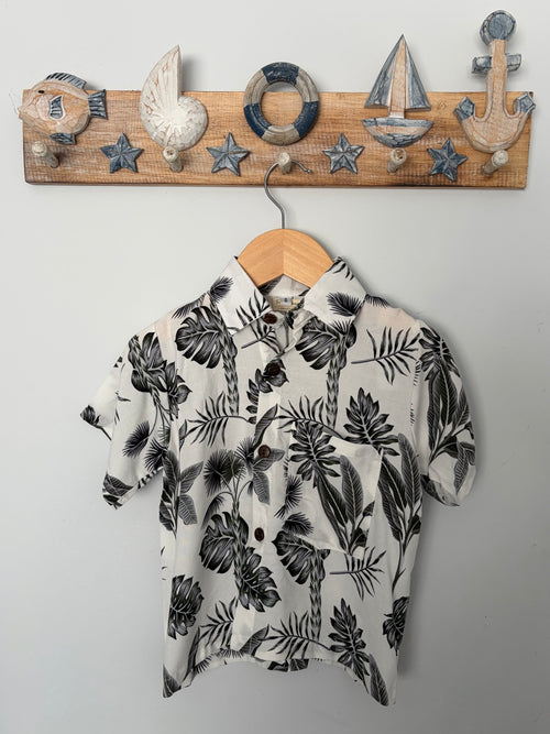 Coastal Leaves Set