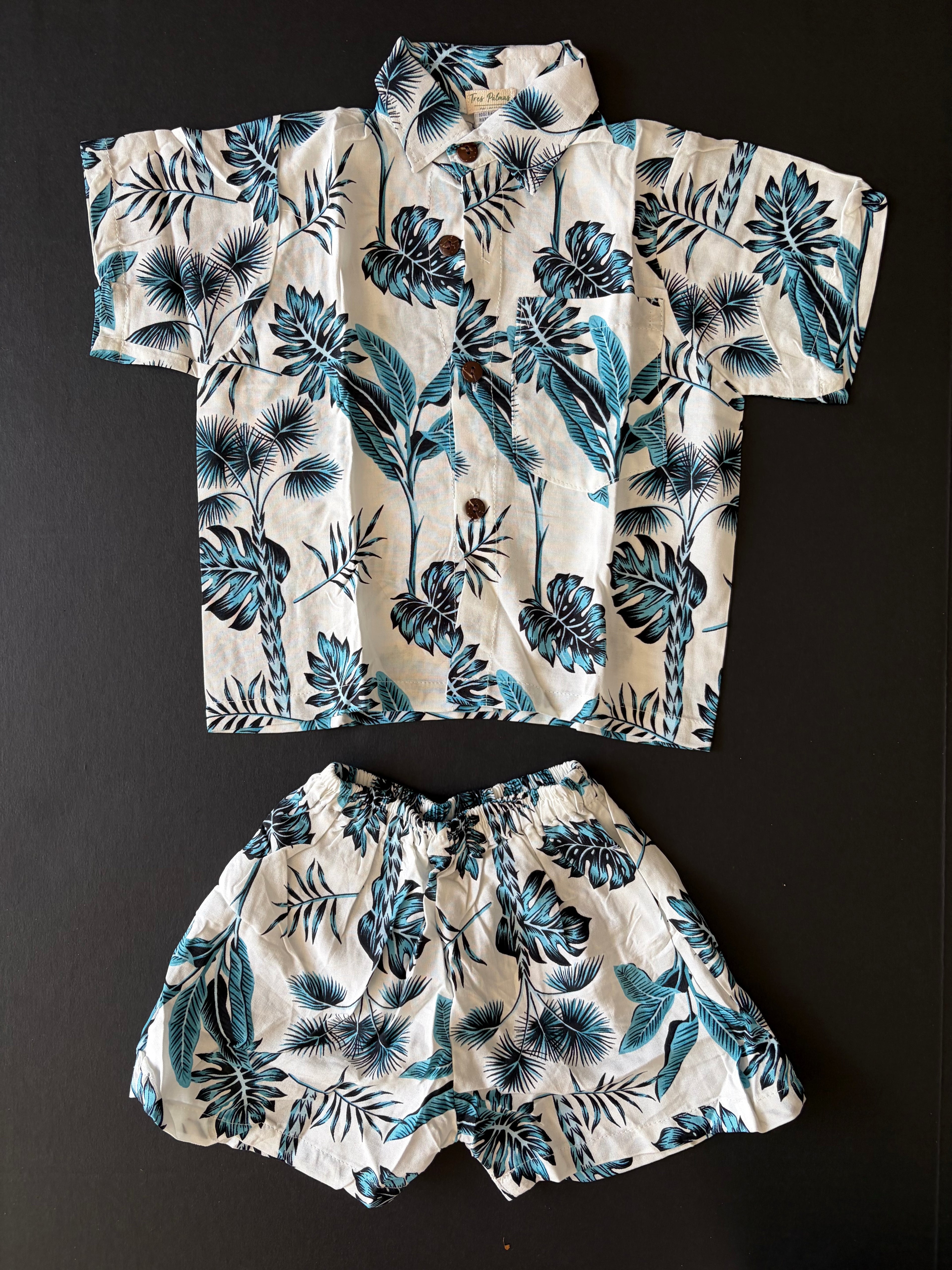 Coastal Leaves Set